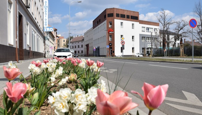 Ulice Dobrovolského