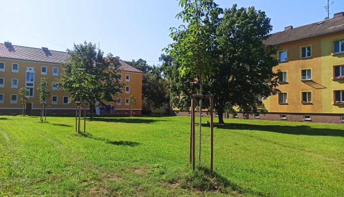 Výsadby zeleně v Bažantnici