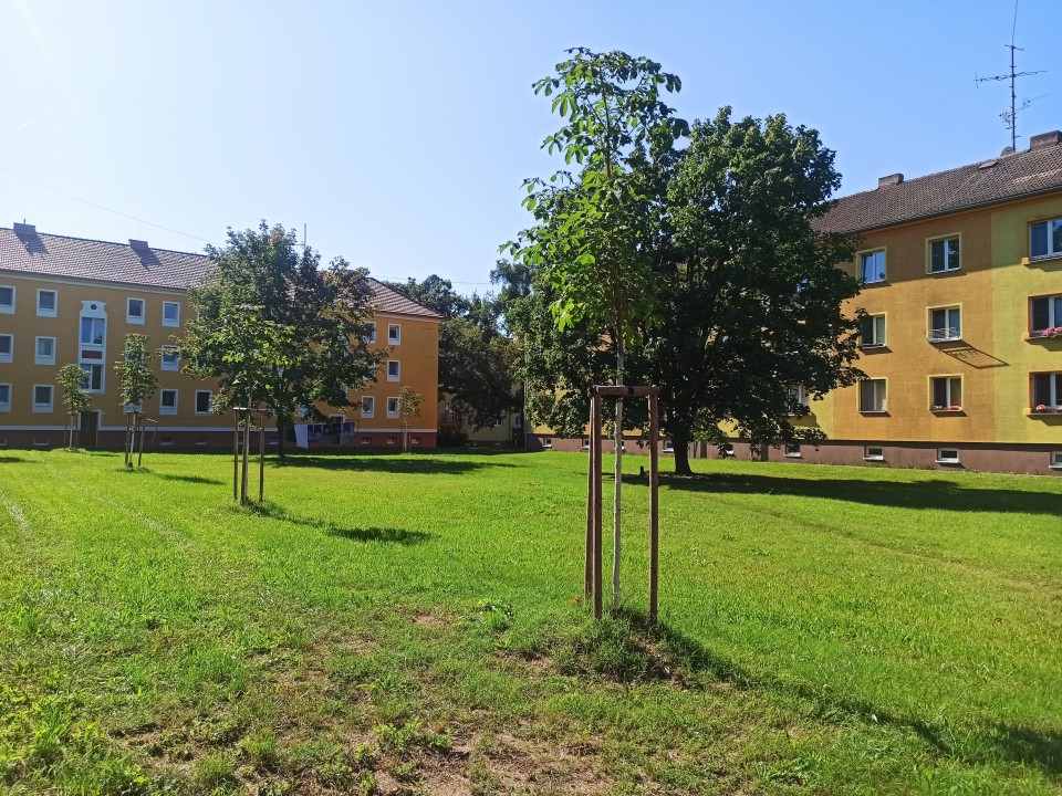 Představujeme vám návrh výsadeb zeleně v Bažantnici